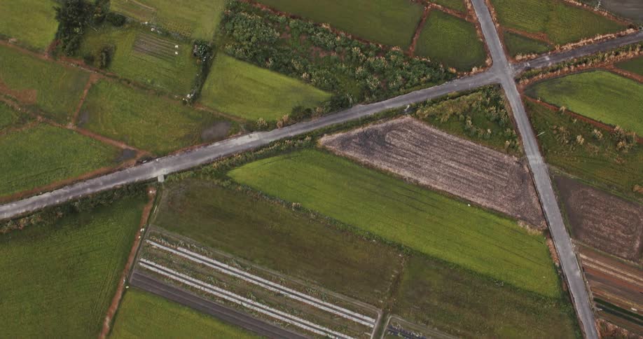 An aerial shot reveals a patchwork of green and brown agricultural fields intersected by narrow roads forming a geometric pattern