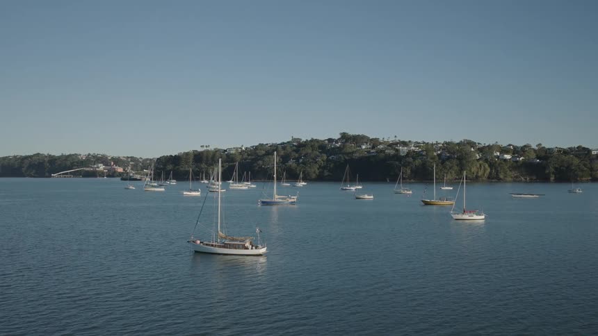A wide shot shows numerous sailboats anchored in a calm bay with a treelined hillside in the background