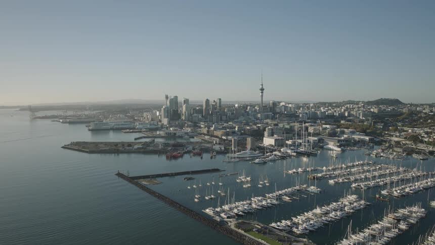 A marina full of sailboats is on the waterfront of a large city full of skyscrapers