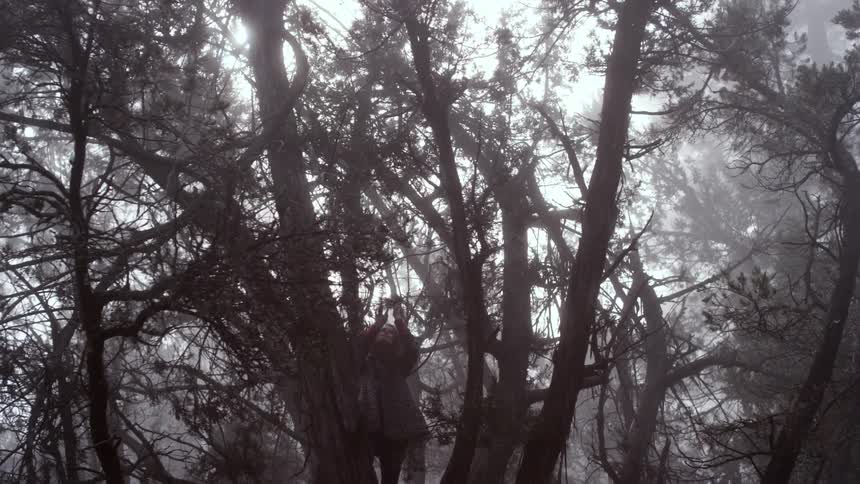 A woman feels branches around trees