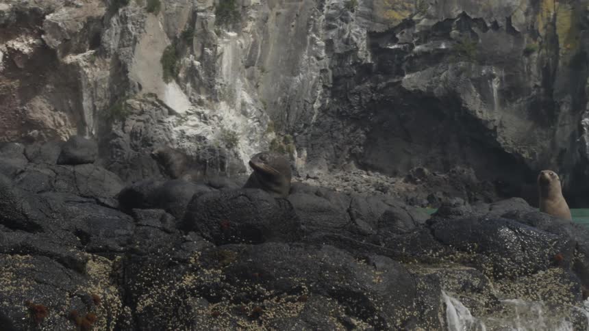 Waves crashing against rocks