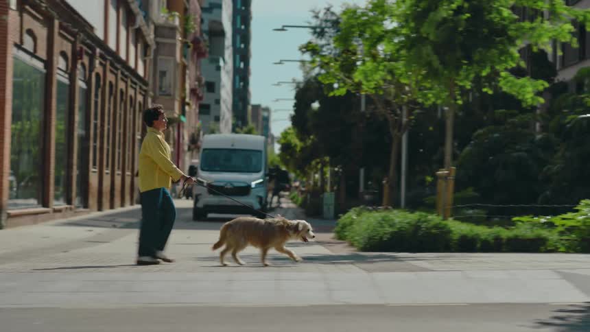 A woman walking her dog crosses the street in the city as he happily trots along pulling her briskly behind while straining to run faster.