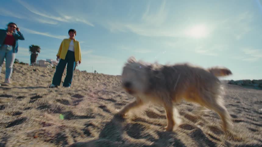 Two women on the beach throwing a ball to play fetch with their dog.