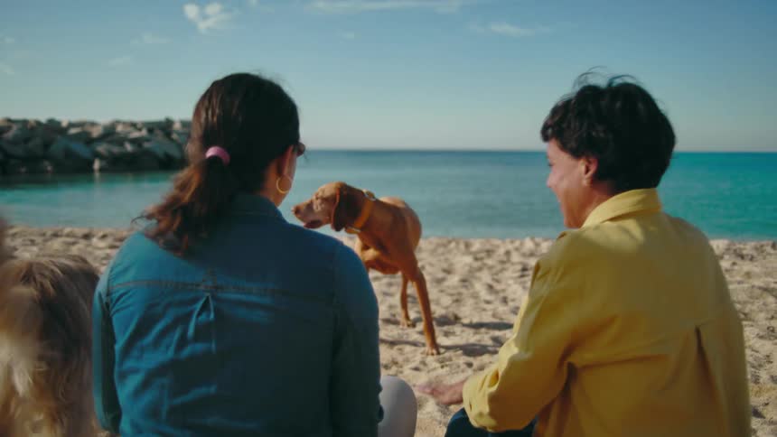 Two women sit on a sandy beach and chat happily while facing the turquoise sea, as their two dogs play around them.