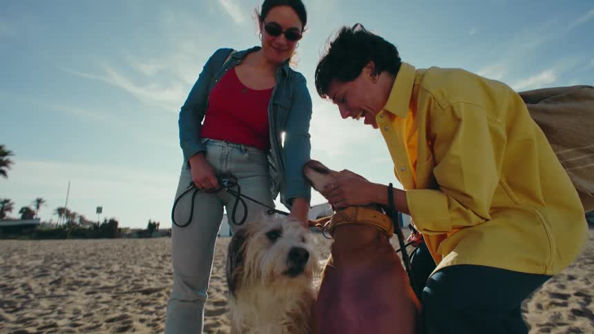 The camera looks down and then pans up from below as two women pet their dogs on a sandy beach under a sunny, blue sky.