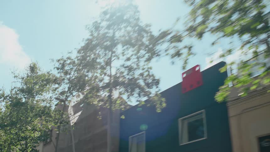 POV from a moving car looking up at the sun coming through the treetops lining the city street as the camera pans down to the buildings and streets below.