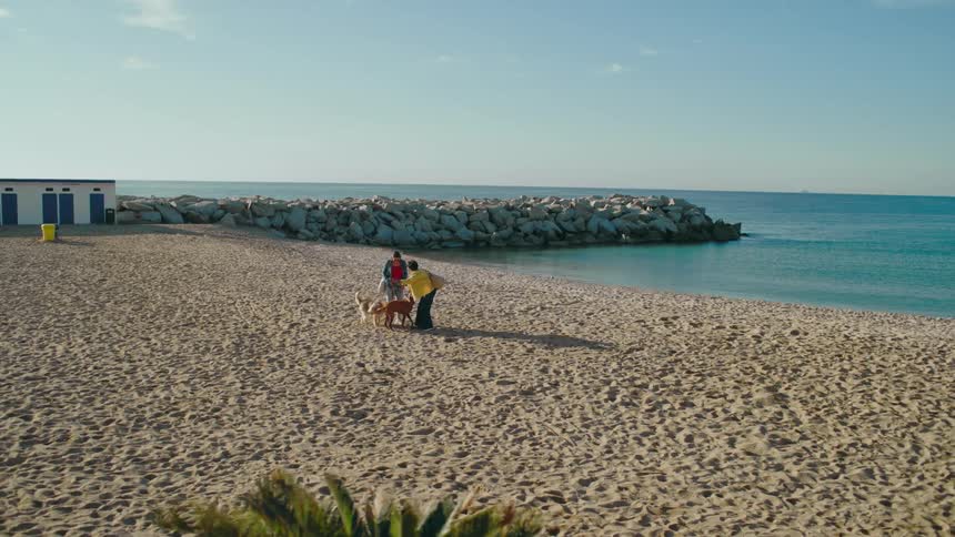 Two people meet near a jetty at a sandy beach on a sunny day with their dogs.