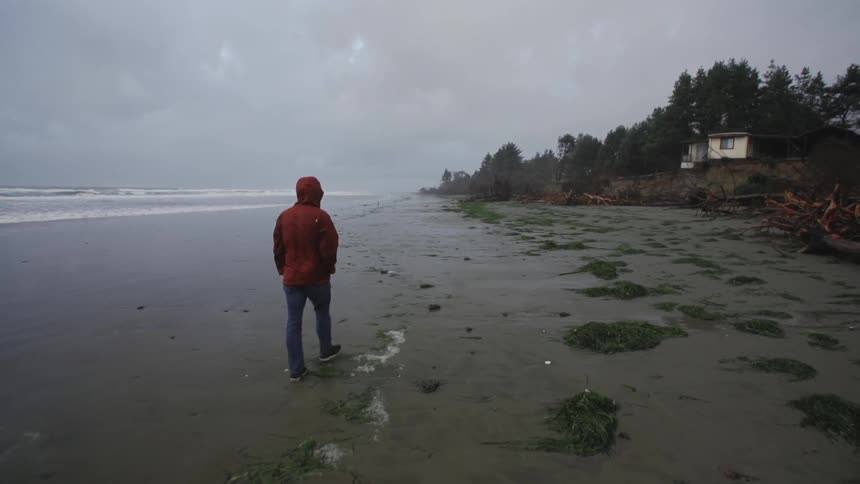 A person walking on the beach