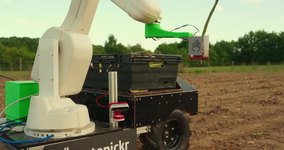 A robotic planter in an open field uproots a plant from the soil and places it into a basket