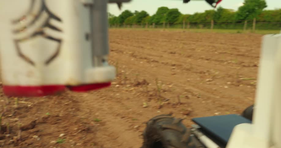 A precision farming robot trims asparagus stalks with mechanical arms in a cultivated field