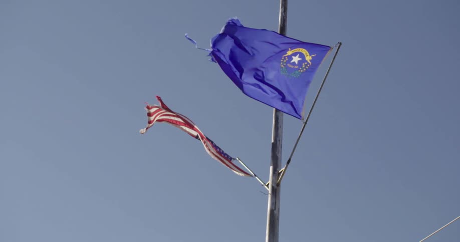 Two tattered flags flying from a pole