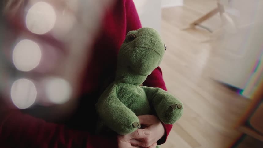 A girl is holding a stuffed animal