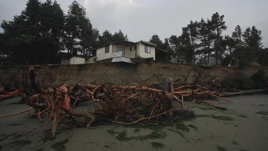 Limbs and branches litter a beach near a small home
