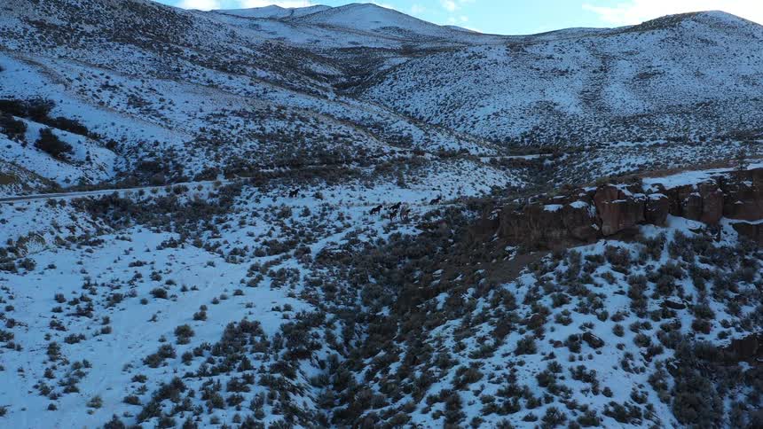 Horses run across a snowy valley