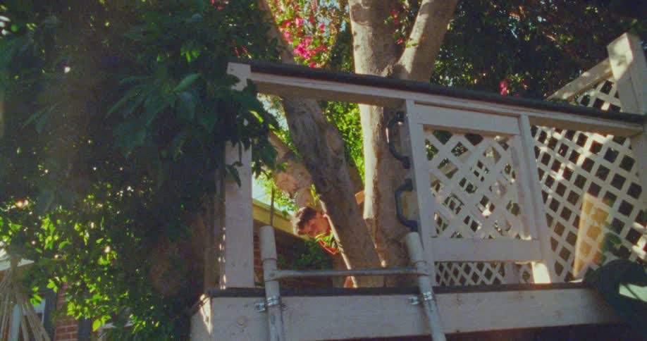 A little boy hides behind the trunk of a tree in a treehouse