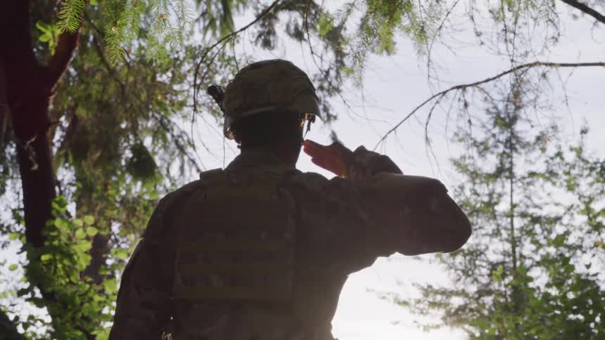 The soldier salutes the sun