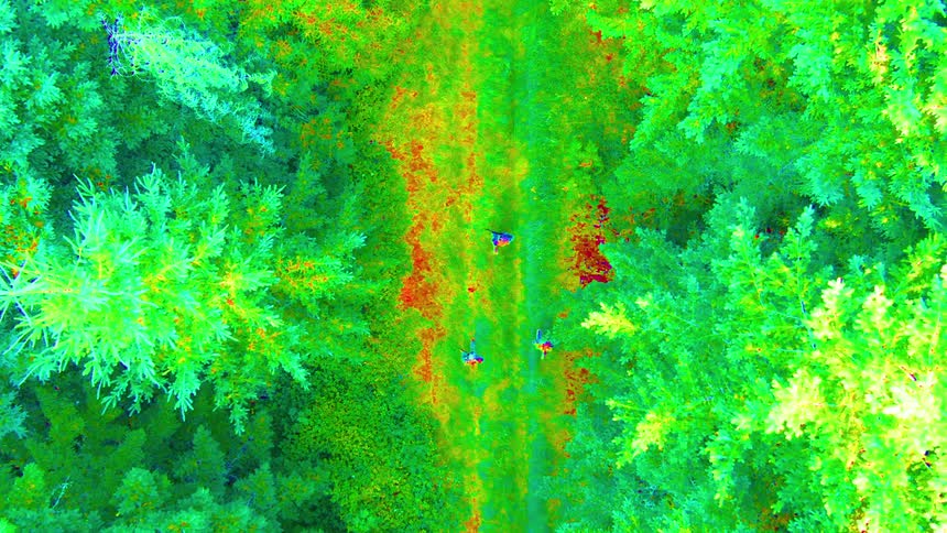 Three military men walk through the jungle at midday