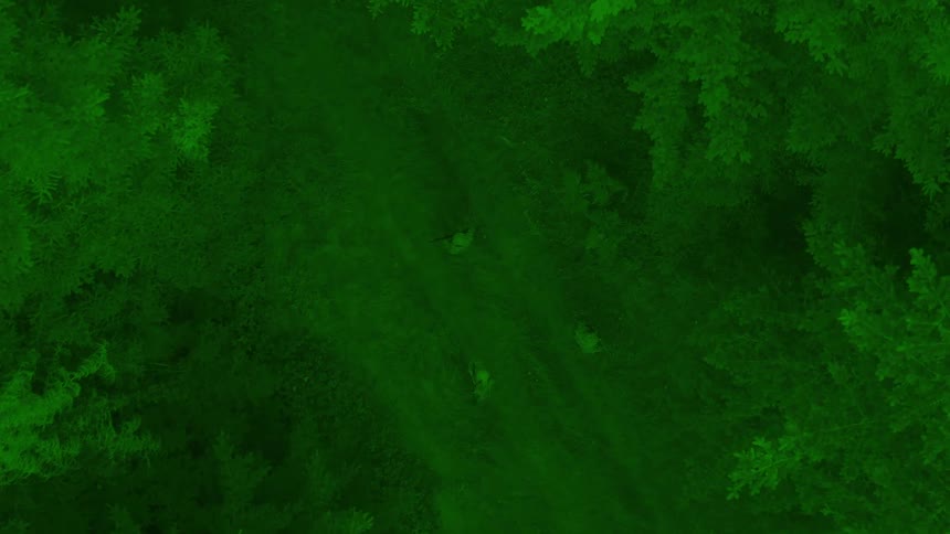 A group of soldiers stands in a forest clearing illuminated by a green night vision effect