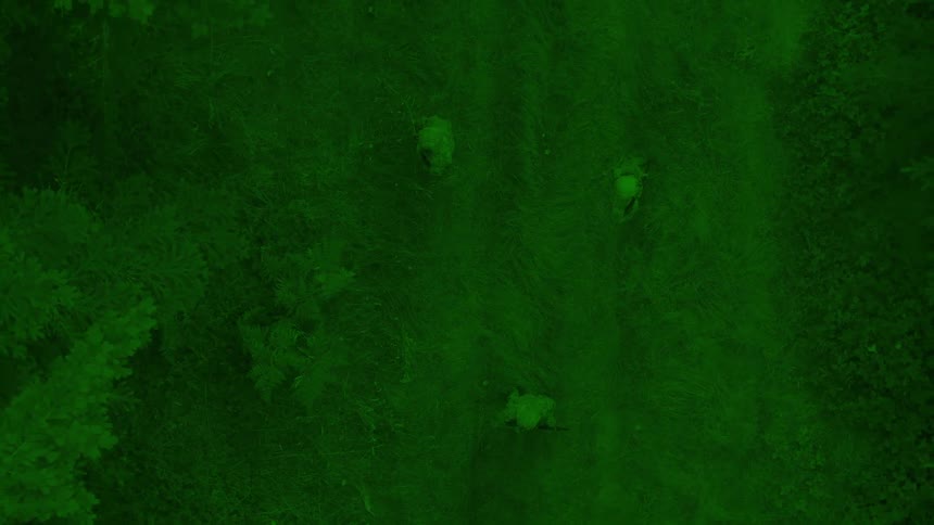 A falsecolor aerial thermal image captured at night reveals a forested path with clear heat signatures of stationary military personnel