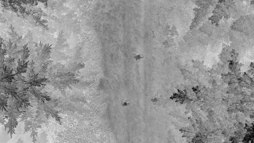 A falsecolor aerial night image displays a forested path with distinct heat signatures of military personnel moving through the terrain