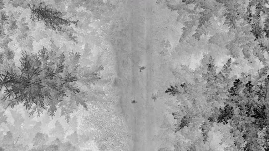 Three soldiers walk down a trail in the forest