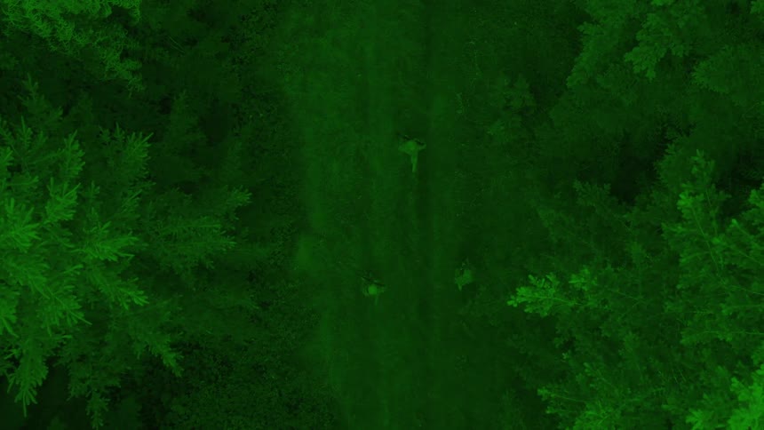 Soldiers travel through the forest