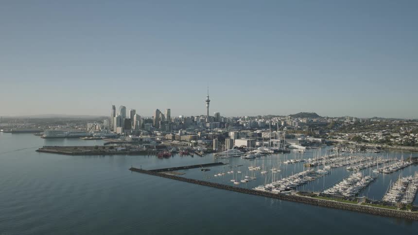 Boats are docked in he marina of the city