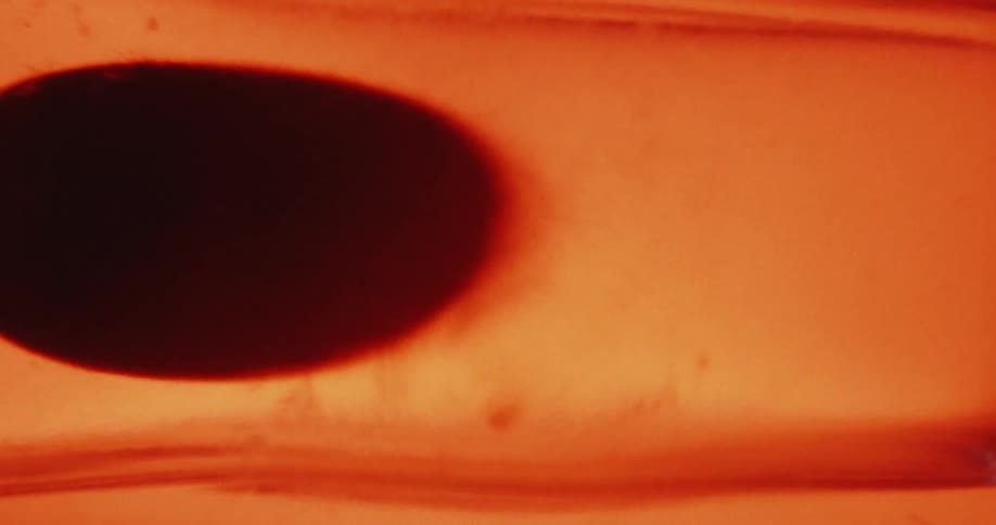 A dark elongated shape with rounded ends floats and changes shape within an orange and yellow gradient background