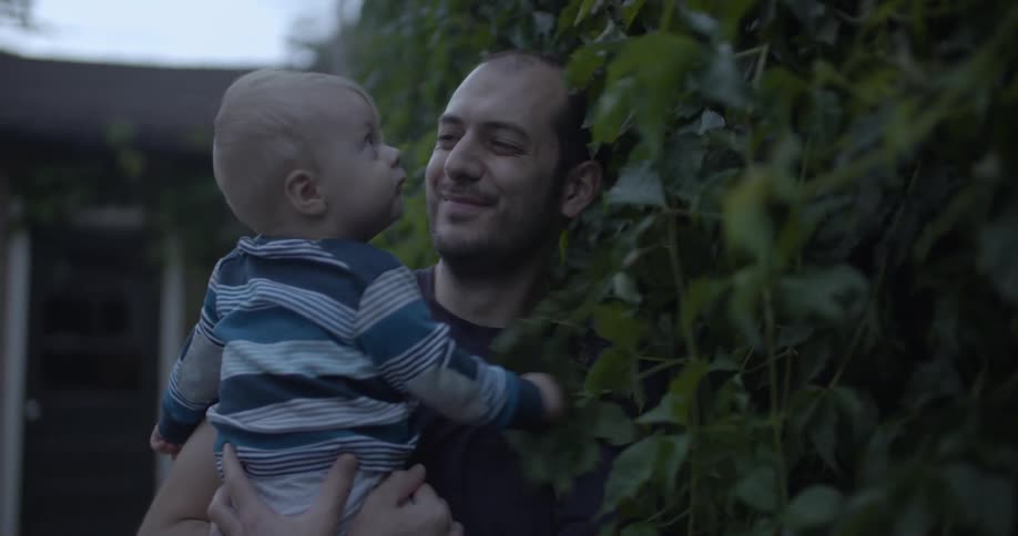 A baby pulls on the leaves in the yard
