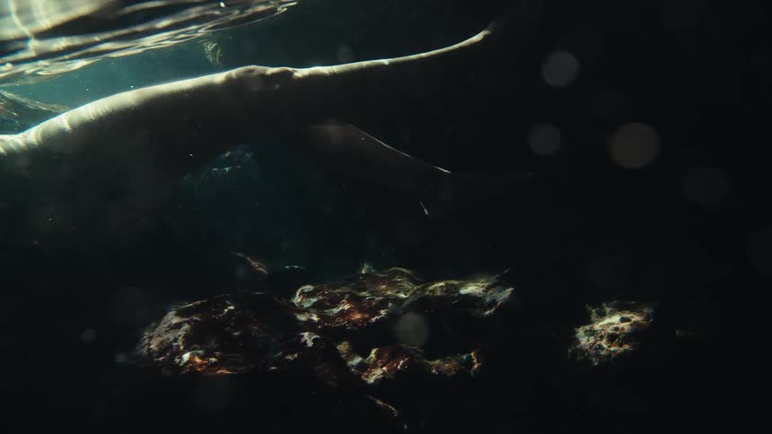 Legs of a woman swimming in an ocean