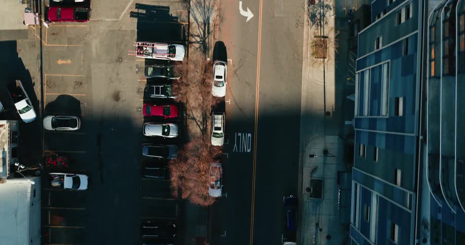 Cars are parked along a street in an urban neighborhood seen from above