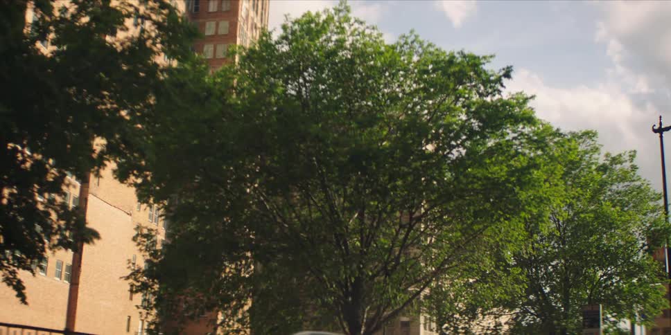 Trees line a street passing high rises on a heavily clouded day