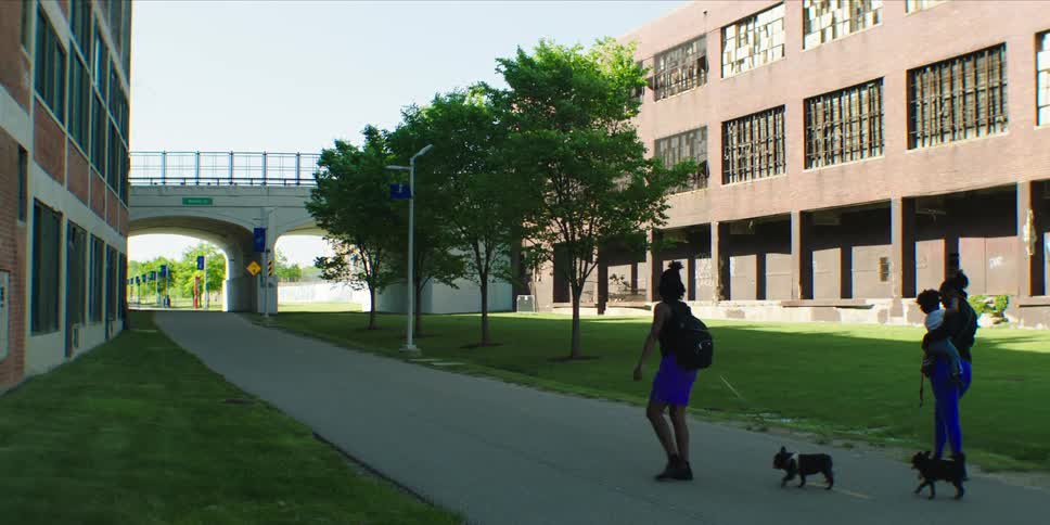 Two women walk dogs on an urban path by old buildings