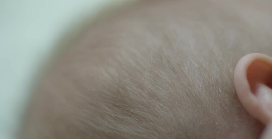 The soft fine hair on an infant's head