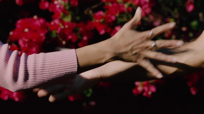 Two friends do a handshake and point at each other