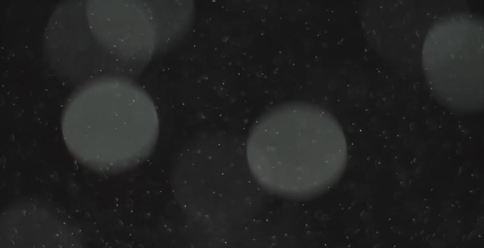 Tiny specks float around in a clear liquid