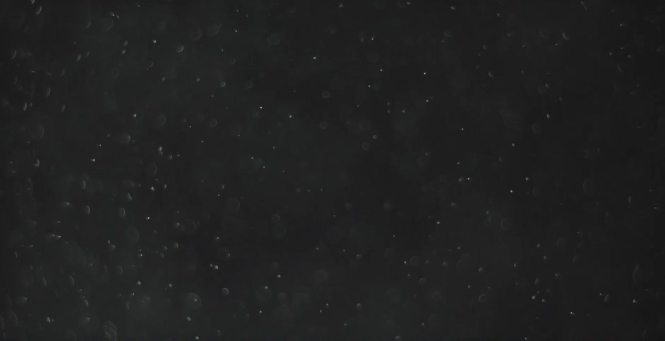 Tiny specks float around in a clear liquid