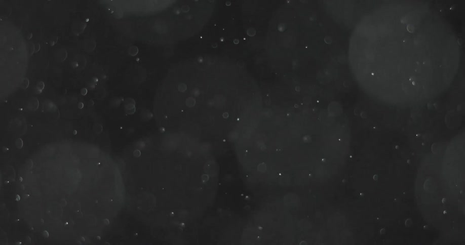 Tiny specks float around in a clear liquid