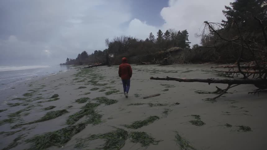 Walking on the beach