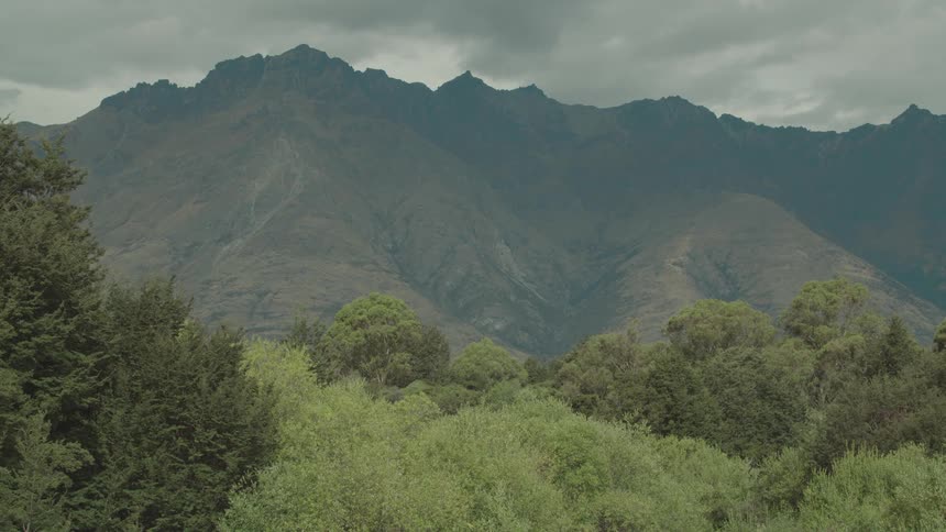 Forest trees in front with mountains under cloudy skies in the background