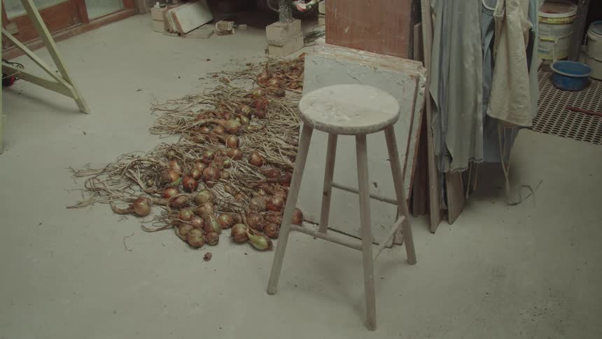 A small white wooden bench and next to it there are some vegetables on the ground with roots