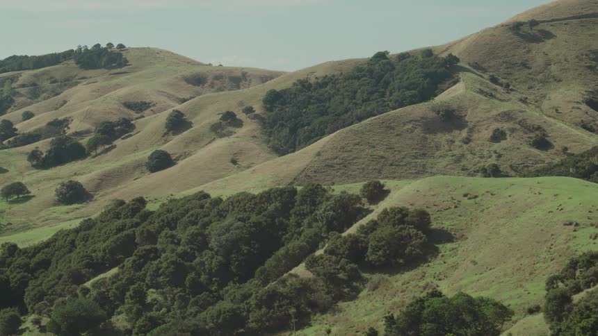 Trees are shown in clusters all over the hills