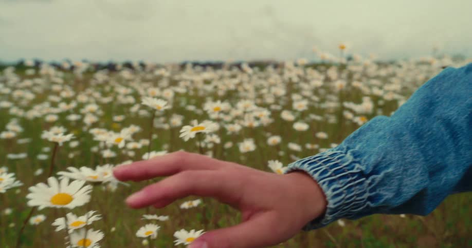 Woman reaches out to touch the flowers growing in a meadow on a windy overcast day