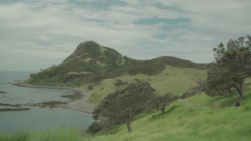 A calm bay stretches towards a green hilly island under a cloudy sky with scattered trees in the foreground