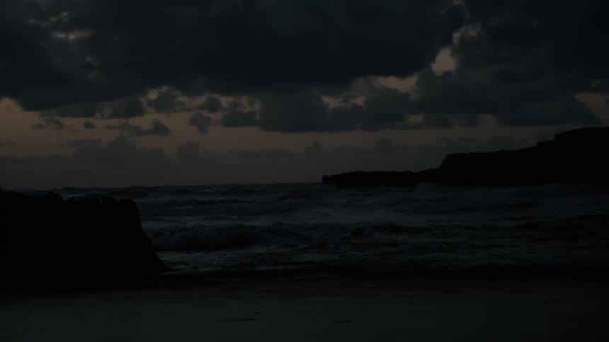 The bird flies over the water on the beach