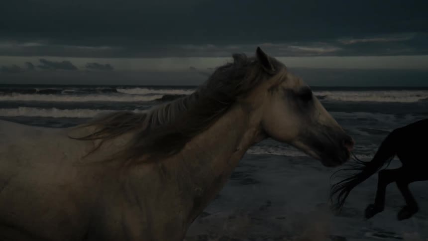 Horses gallop on a dark beach with crashing waves a white horse passes in a dramatic closeup
