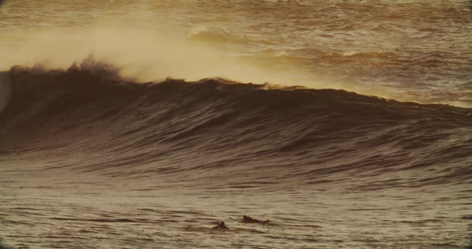 Surfers lie on their surfboards while a wave swells and breaks nearby