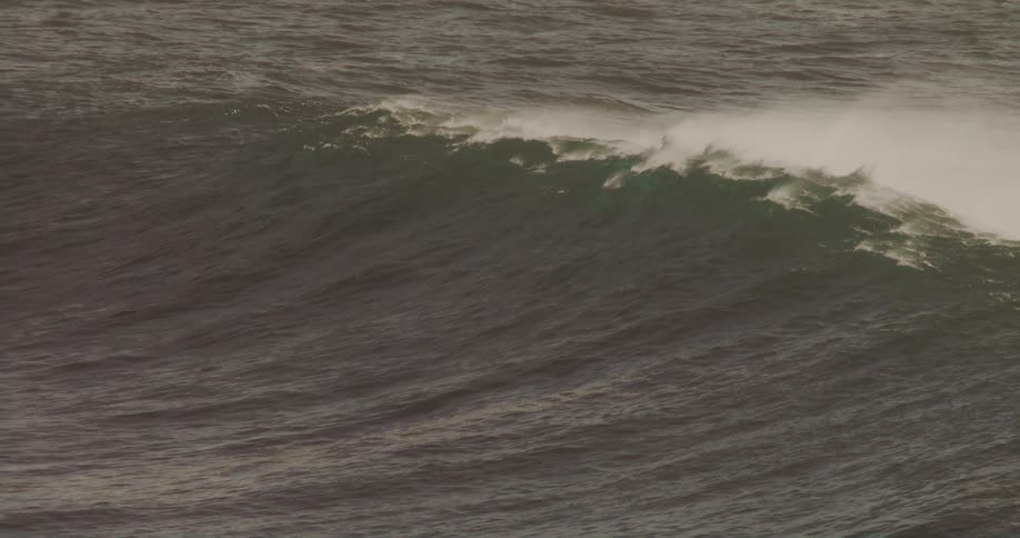 The large wave moves in the ocean