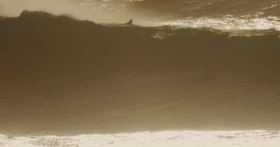 Sunlight reflects on the wave