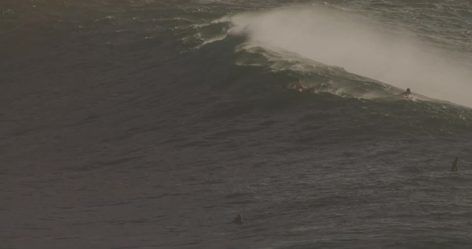 Several surfers are waiting in the water while a large low wave passes